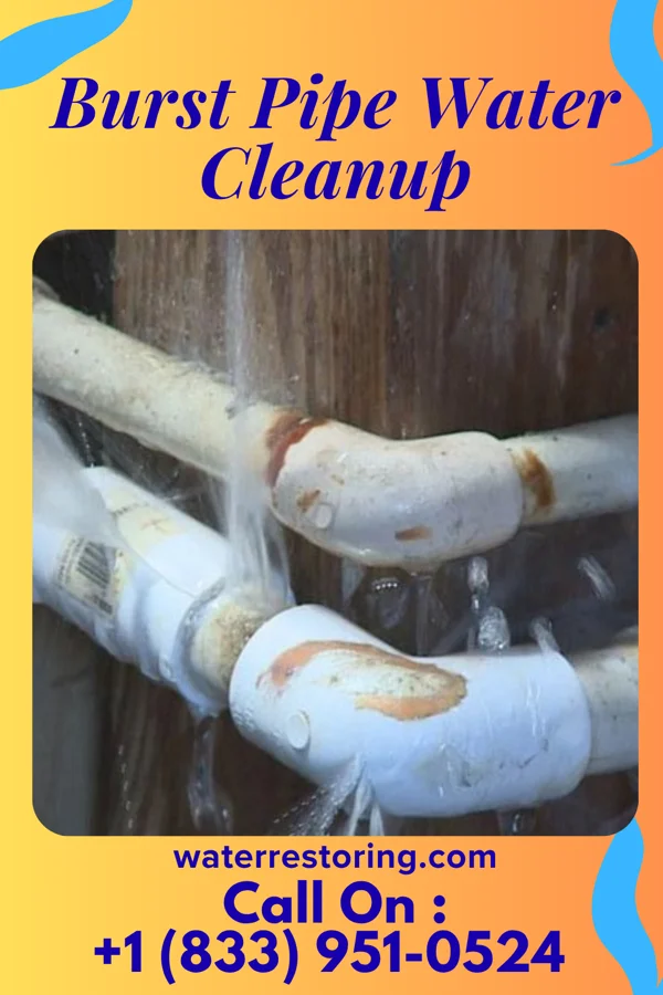 Burst Pipe Water Cleanup in Fort Campbell North, KY