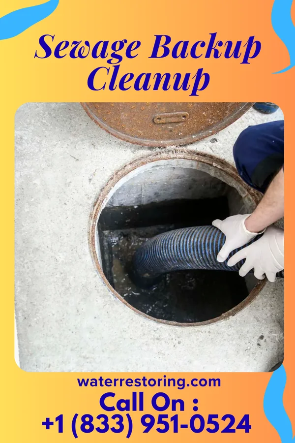 Sewage Backup Cleanup in Fort Campbell North, KY