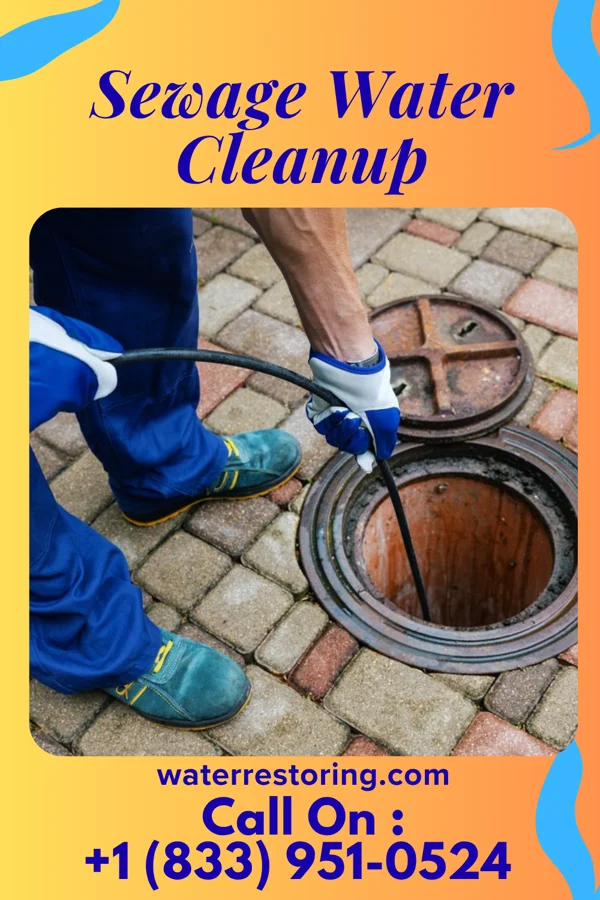 Sewage Water Cleanup in Fort Campbell North, KY